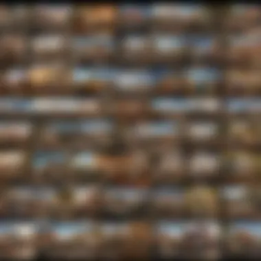 Cultural Themes in 2021 Carton Movies A collage showcasing the cultural themes explored in various carton movies of 2021