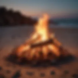 Celebrity Beach Bonfire Scene