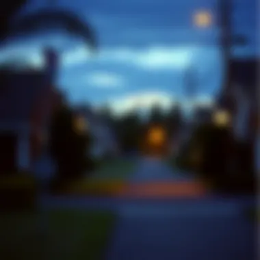 The Facade of Suburban Life A suburban neighborhood reflecting the facade of idealism.