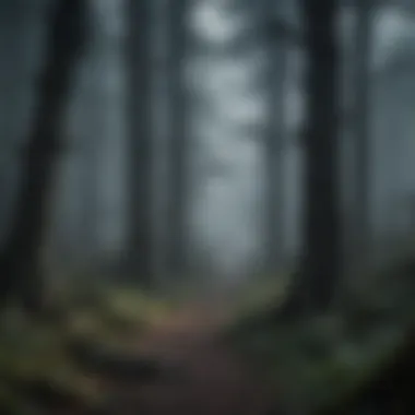 A dark and eerie forest setting in a horror movie