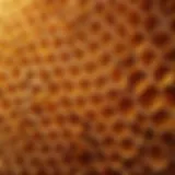 A close-up of a honeycomb structure, showcasing its intricate patterns and golden hues