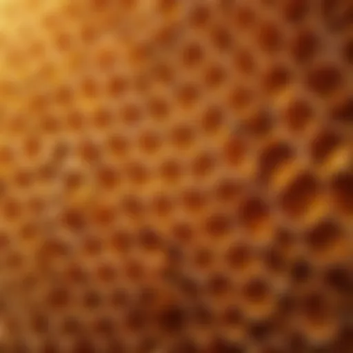 A close-up of a honeycomb structure, showcasing its intricate patterns and golden hues