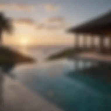 Oceanfront Infinity Pool at Turtle Tail Estate