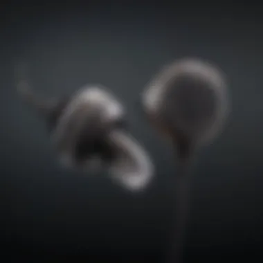 Sleek Earbuds with Crystal Clear Microphone Quality