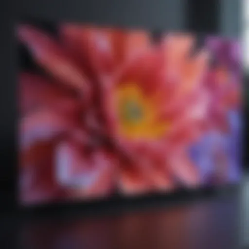 Close-up view of Sony OLED TV showcasing vibrant colors