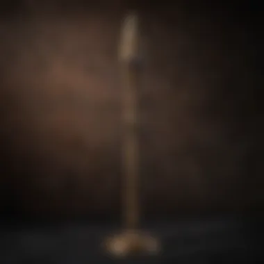 The Elder Wand's Mystique The Elder Wand displayed on a velvet background