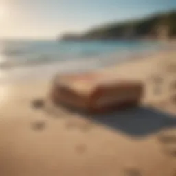 A serene beach scene representing the summer setting of the book series