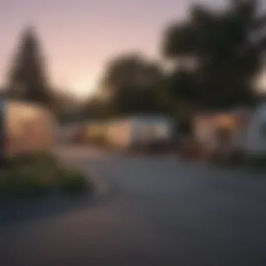 Captivating charm and lifestyle of Trailer Park Sunnyvale