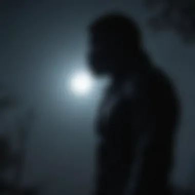 Mysterious silhouette in the moonlight